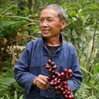 portrait monsieur so