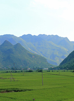 mai chau mai hich