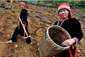 Immersion en terres inconnues du Vietnam