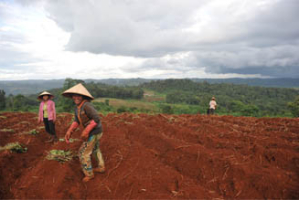 Triologie sud vietnam