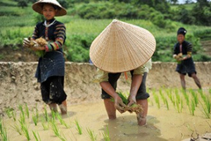 Lolo Cao Bang Vietnam