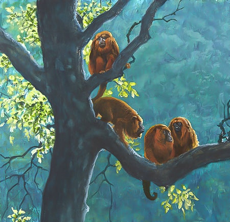 Découverte d’animaux