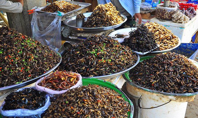 insectes cuisine cambodgienne