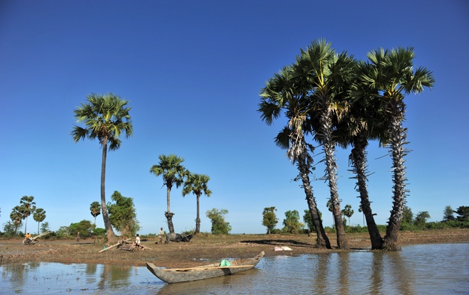 thnot symbole du cambodge