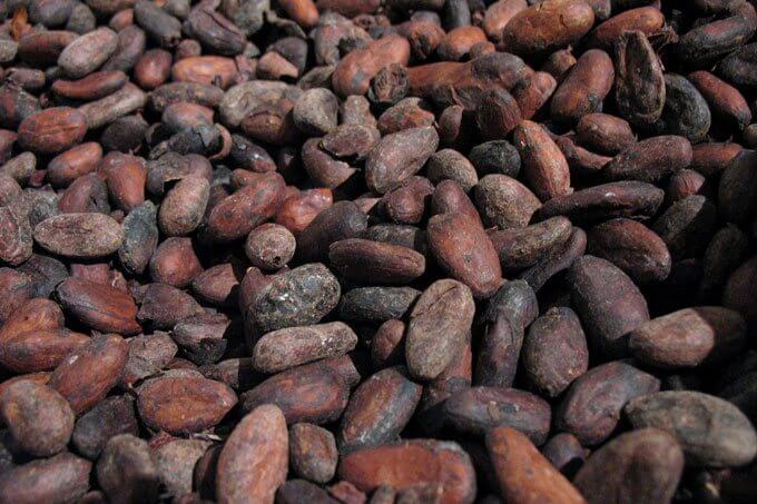 feves cacao torrefiees