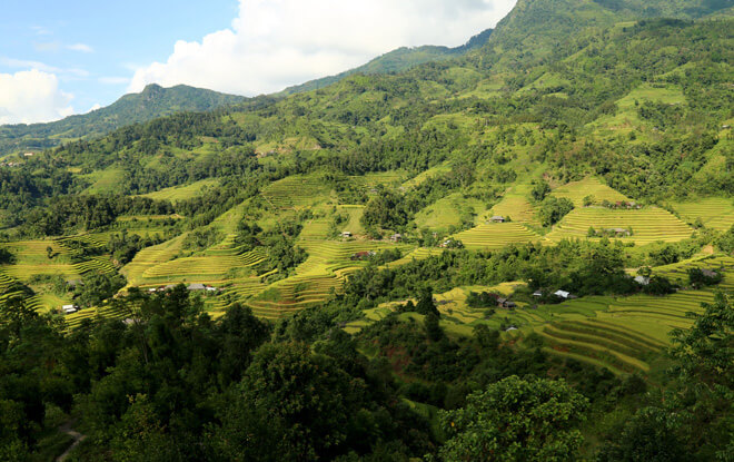 Montagne Hoang Su Phi Ha Giang Vietnam 