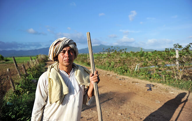 Cham au Vietnam Binh Thuan