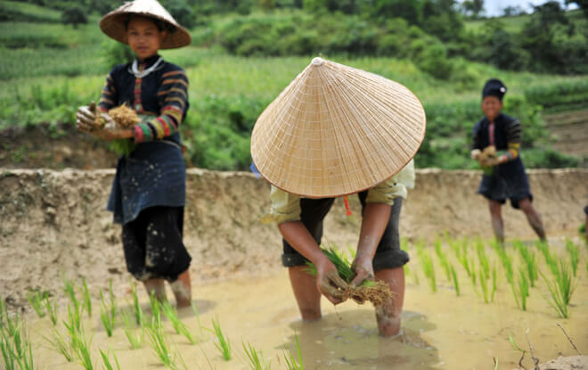 Rencontre avec les Lolo noir Ã  Cao Bang 