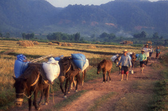 papiers a apporter laos