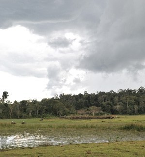 quand partir vietnam
