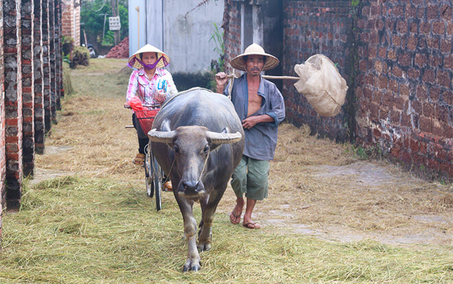 village Duong Lam Hanoi Vietnam 