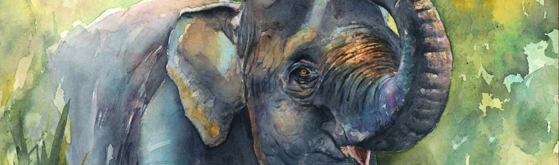 Découverte d’animaux au Vietnam