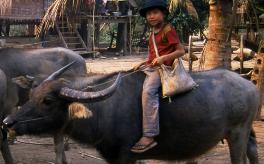 Chez les Lao de Na Luang