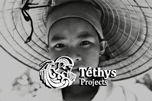 Blog cuisine vietnamienne