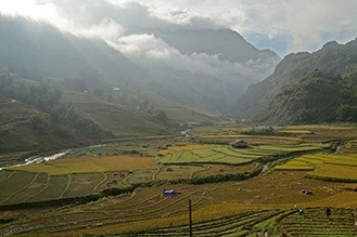 riziere en terrasse tam coc ninh binh
