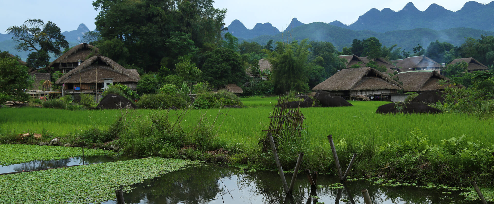 vue village ha giang