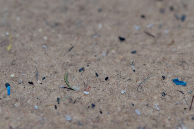 travaux de recherche Emilie Strady sur les micro-plastique