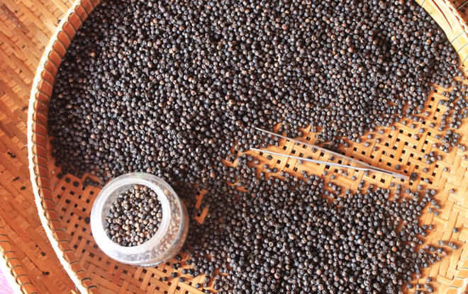 poivre kampot cuisine cambodgienne khmère